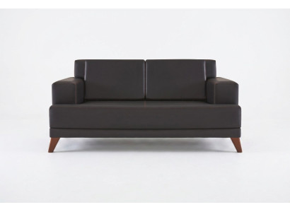 Leather Couch 2-Seater Sofa Black Solid Color Modern Design Leather Sofa Wood