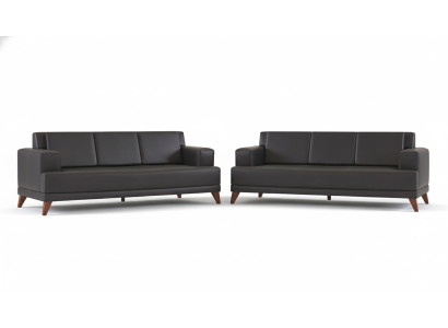 Leather sofas, modern couch, 3-seater, black upholstery, cushions, leather, wood