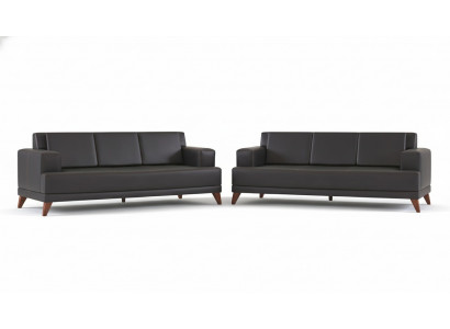 Leather sofas, modern couch, 3-seater, black upholstery, cushions, leather, wood