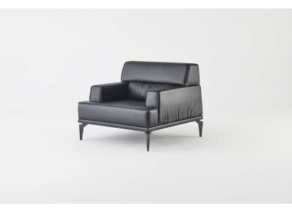 Armchair, recliner, black leather, soft, four-sided, modern, stainless steel, wood