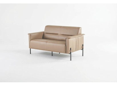 Couch Beige 2-Seater Sofa Modern Leather Sofa Seating Furniture Two-Seater Leather