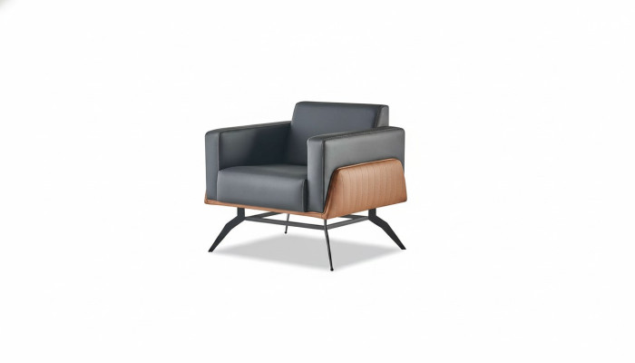 Armchair 1-Seater Seating Furniture Modern Leather Stainless Steel Wood Two-Seater