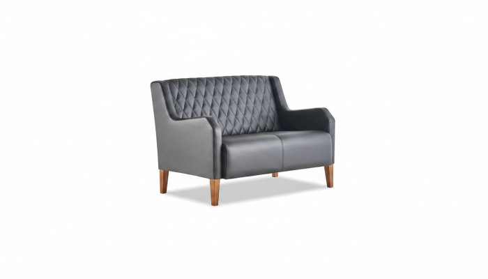 Sofa Black 2-Seater Couch Leather Modern Two-Seater Leather Sofa Wood Soft