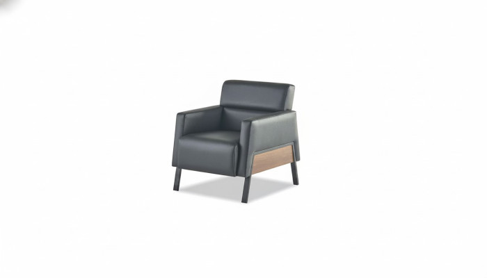 Black Armchair Modern 1-Seater Study Living Room Leather Armchair Soft