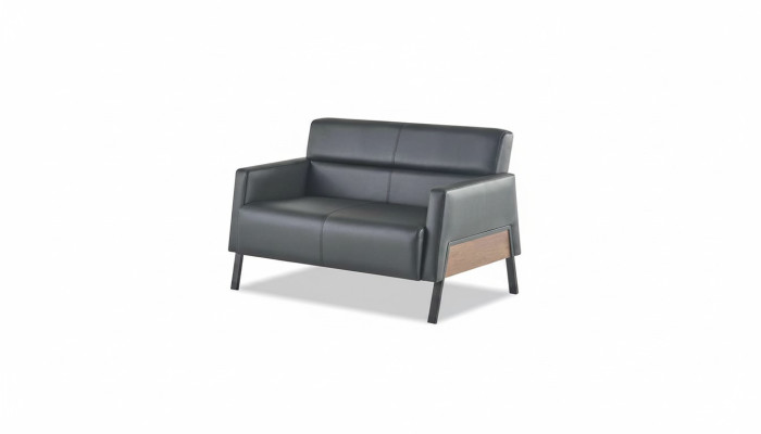 Sofa Black 2-Seater Leather Sofa Modern Couch Leather Stainless Steel Two-Seater