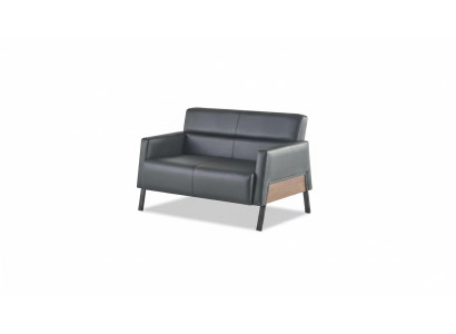 Sofa Black 2-Seater Leather Sofa Modern Couch Leather Stainless Steel Two-Seater