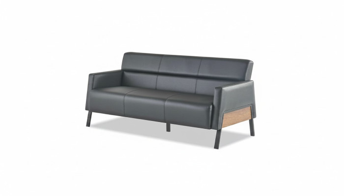 Ledesofa Sofa Black 3-Seater Three-Seater Leather Modern Wood Stainless Steel