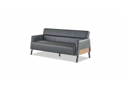 Ledesofa Sofa Black 3-Seater Three-Seater Leather Modern Wood Stainless Steel