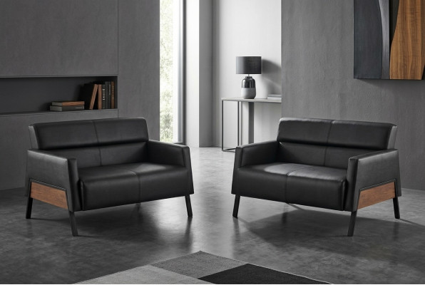 Leather sofa set, 2-seater, black, modern leather couch, stainless steel, wood, soft