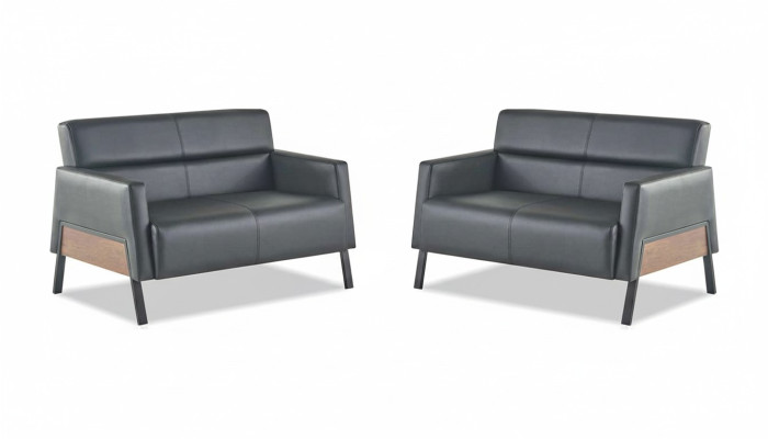 Leather sofa set, 2-seater, black, modern leather couch, stainless steel, wood, soft