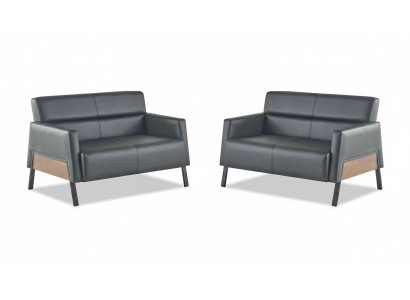Leather sofa set, 2-seater, black, modern leather couch, stainless steel, wood, soft