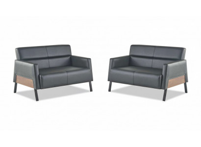 Leather sofa set, 2-seater, black, modern leather couch, stainless steel, wood, soft