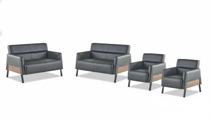 Leather seating set leather sofa 2-seater armchair modern black stainless steel