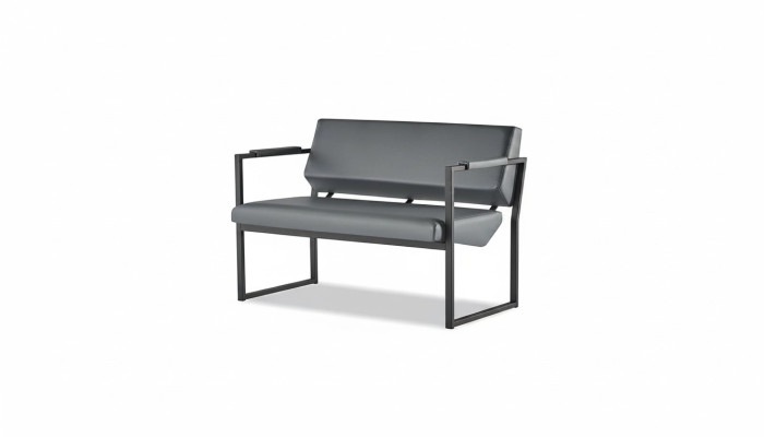 Ledesofas Couch Stainless Steel 2-Seater Sofa Black Leather Wood Two-Seater