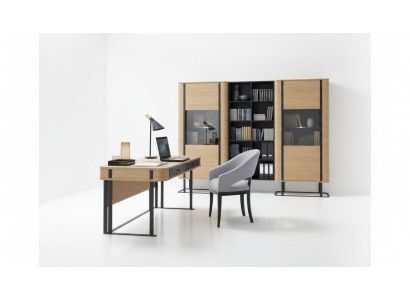 Komplett Büro Arbeitszimmer Set Schreibtisch Aktenschrank Einrichtung