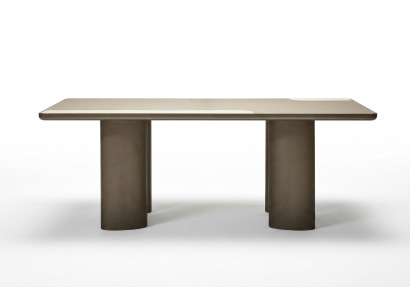 Modern and elegant dining bowl