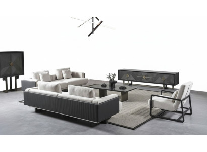 Modern sofa with chair