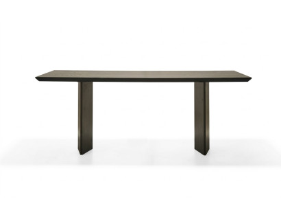 Elegant bronze table for modern living