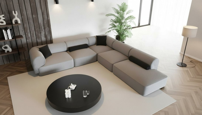 Modern and elegant living room sofa
