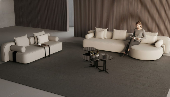 Modern and comfortable sofa