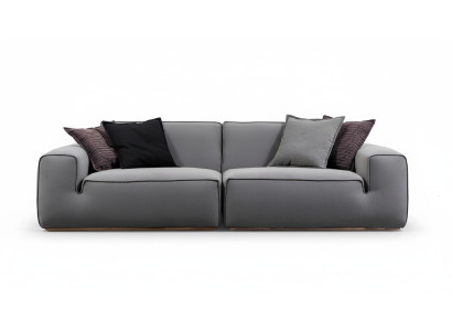 Modern, beautiful and comfortable sofa
