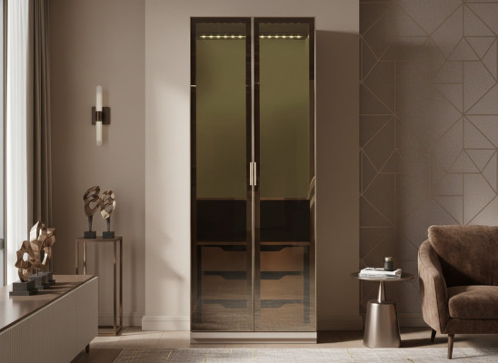 Modular modern wardrobe with practical design