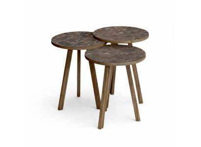 Elegantes braunes Holz Couchtisch-Set im modernen Stil
