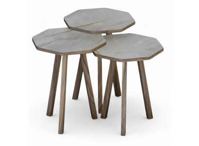 Moderner grauer Holz-Couchtisch-Set für Wohnzimmer
