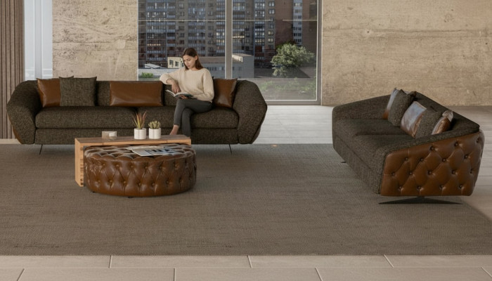 Modern seating set 2x for your home