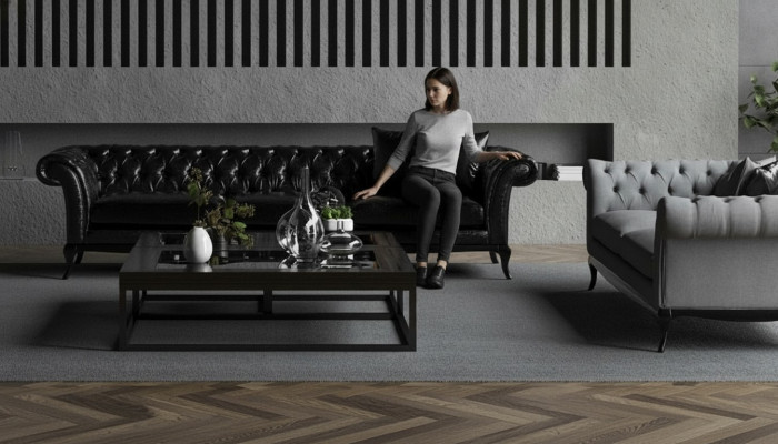 Modern functional sofa 2x