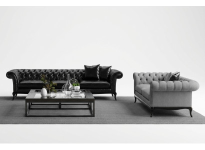Modern functional sofa 2x