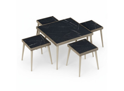 Elegantes Wohnzimmer-Set Schwarz Holz Modern
