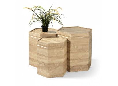 Elegantes braunes Holz Couchtisch-Set im stilvollen Design