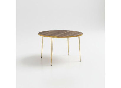 Moderner Couchtisch aus Holz in Braun