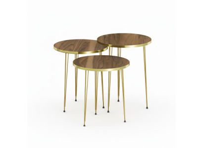 Elegantes braunes Couchtisch-Set aus Holz und Edelstahl