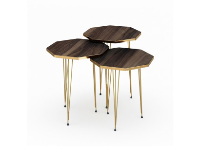 Elegantes braunes Couchtisch-Set aus Holz und Edelstahl