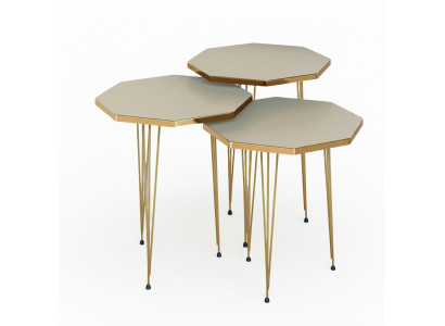 Edles Beiges Couchtisch-Set aus Holz und Edelstahl, modern