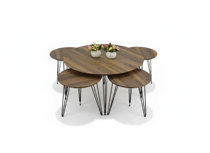 Eleganter brauner Holztisch mit stilvollem Design für Wohnzimmer