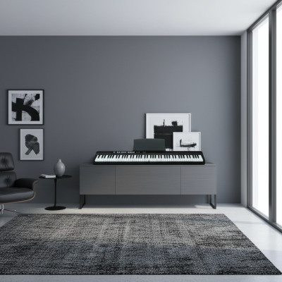 Portable digital piano with 88 keys: Bluetooth, app connection, and microphone connection