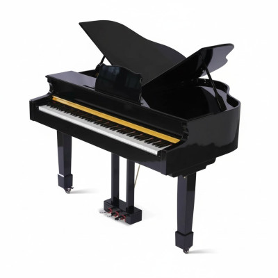 Black piano