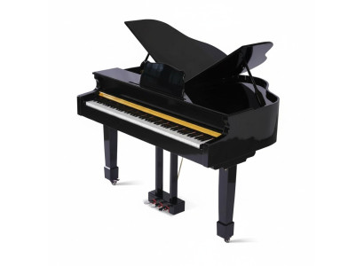Black piano