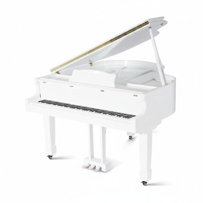 Glossy black piano