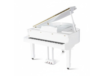 Glossy black piano