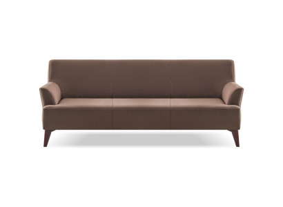 Sofa braun modern elegant funktional ergonomisch vielseitig