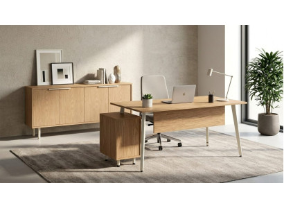 Office hochwertig Set Schreibtisch Sideboard Kommode Holz Braun