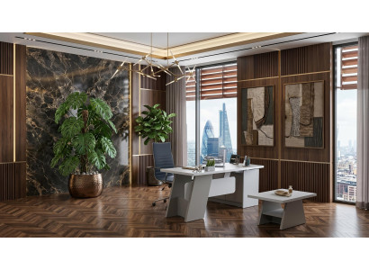 Stilvolles graues Büro-Set Schreibtisch Couchtisch modern Arbeitszimmer