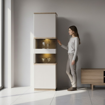 Classic cabinet bookcase bookshelf display cabinet glass cabinet
