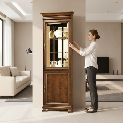 Classic showcase display cabinet display wall glass cabinet - Model N-WN