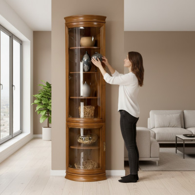 Classic wardrobe bookcase bookshelf display cabinet glass cabinet