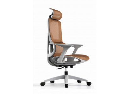 Ergonomischer Bürostuhl mit Mesh-Rückenlehne und verstellbarem Design